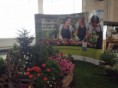 /album/flora-bratislava-2016/img-0272-jpg/